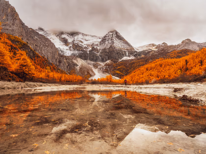 Title of the livestream event