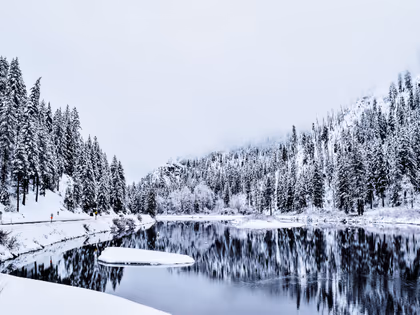 Title of the livestream event